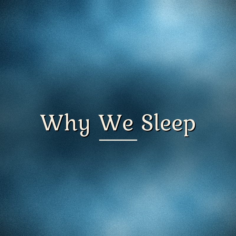 Cover art for Why We Sleep